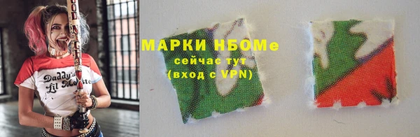 молекула духа Богородицк