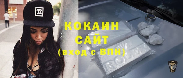 молекула духа Богородицк