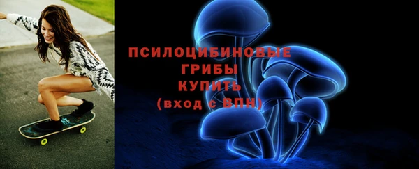 COCAINE Богородск