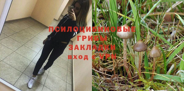дживик Пересвет