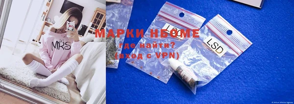 молекула духа Богородицк