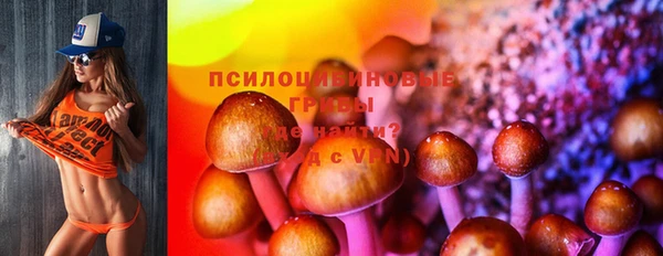 таблы Богданович