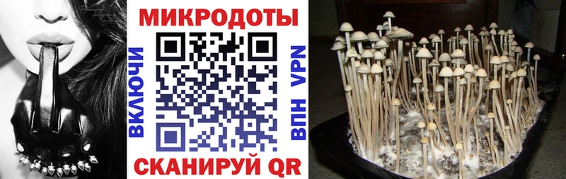 Галлюциногенные грибы Cubensis  Реж 