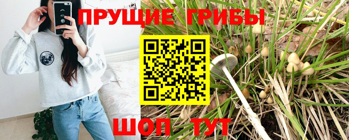 Реж  Псилоцибиновые грибы Magic Shrooms  Вход с VPN  Галлюциногенные грибы Psilocybe 